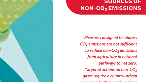 DDP_MakeItHappen-1.4-Non-CO2-Emissions